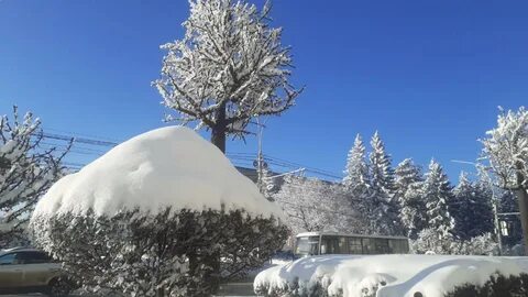 Потепление на ставрополье