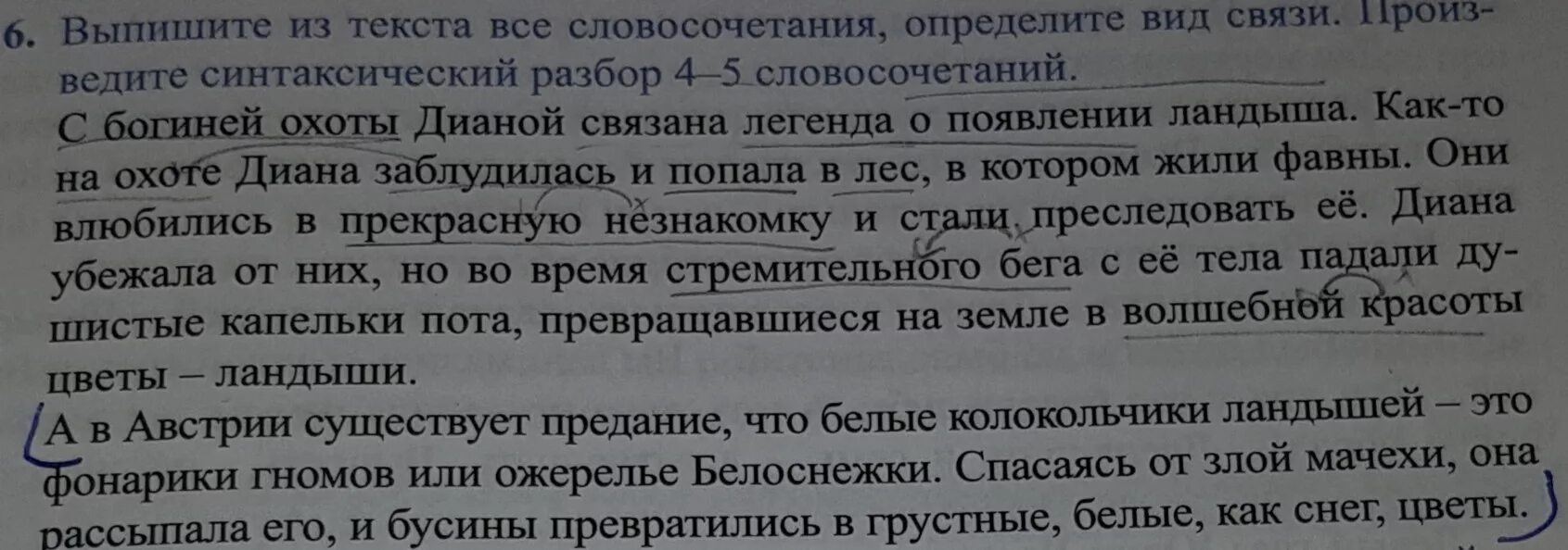 Во втором абзаце текста нарушен порядок предложений. Выпишите из текста словосочетания, по одному на каждый Тип.