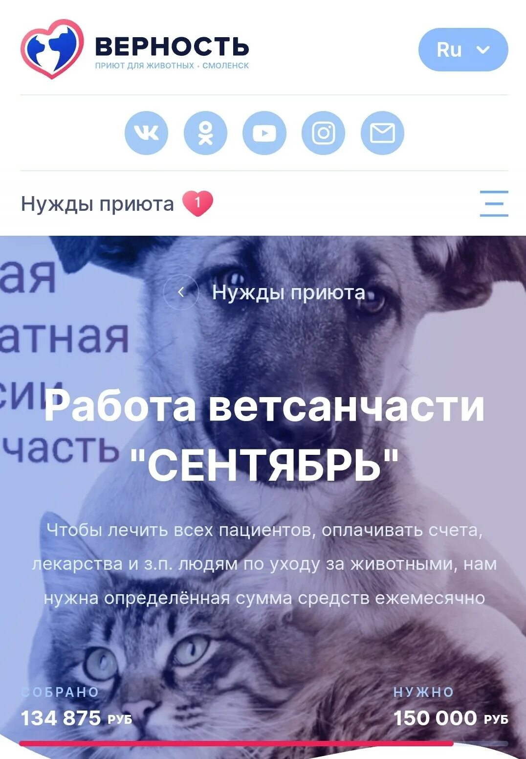 Верность поддержка. Помощь животным. Помогать животным. День помощи животным помогите. Верность ТВ.