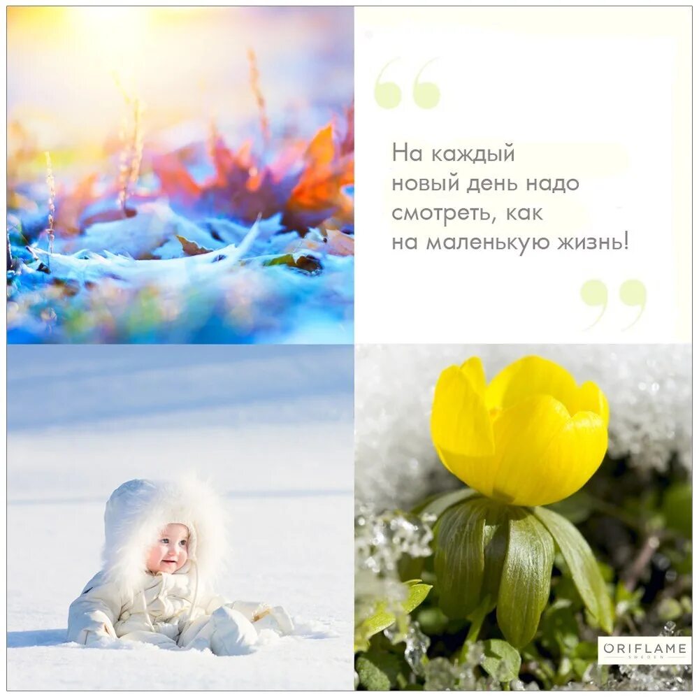 Каждый день будет лучше предыдущего. Каждый новый день. пусть каждый новый день. новый день жизни. каждый новый день это подарок.