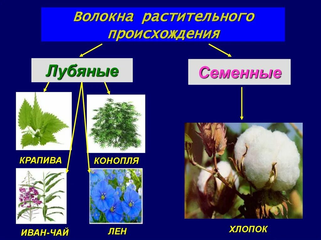 Схема натуральных волокон животного происхождения. Схема натуральных волокон животного происхождения. Классификация текстильных волокон 5 класс. Классификация натуральных волокон ткани. Волокна ткани происхождение.