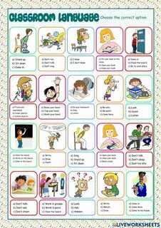 Classroom language