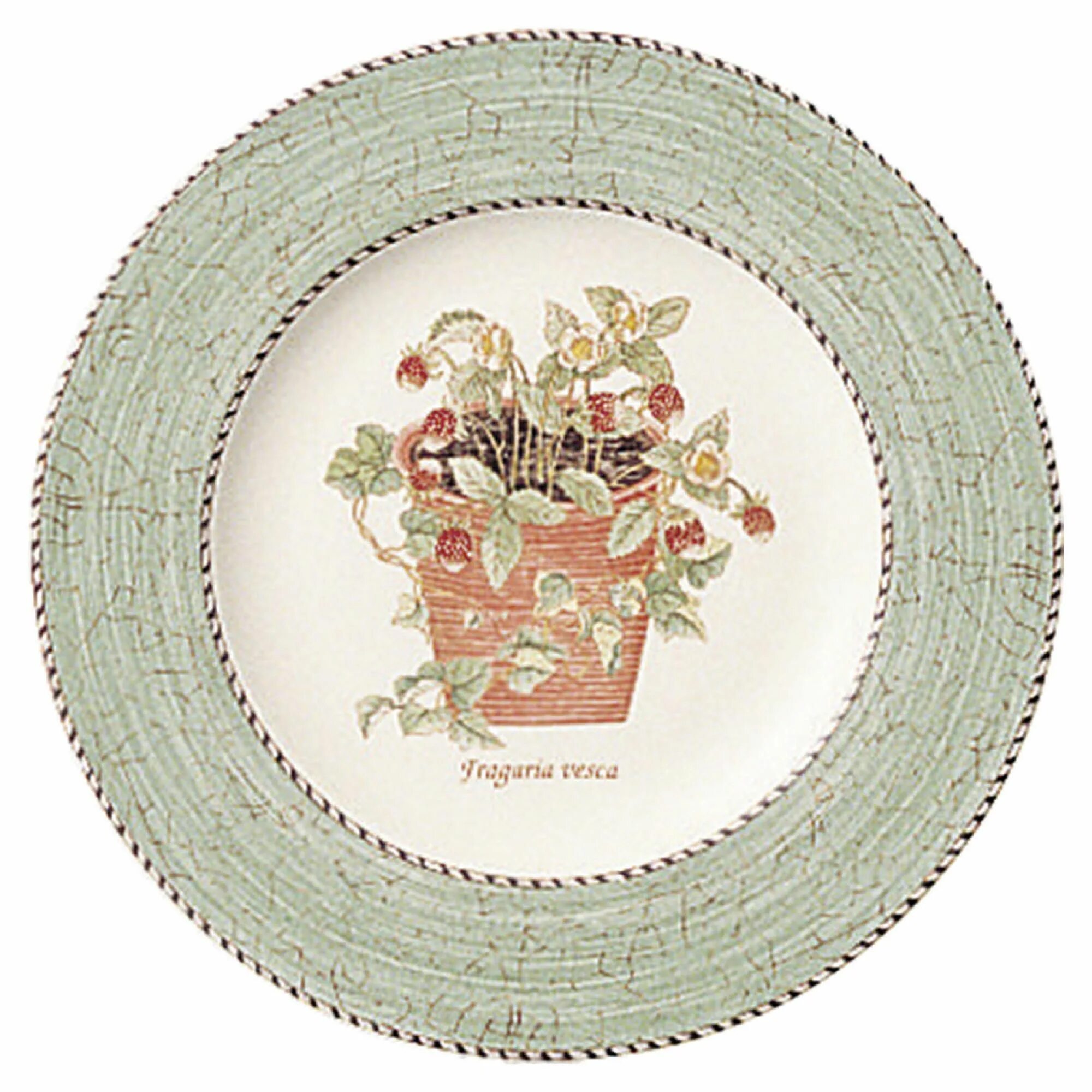 Веджвудские тарелки. Sarah's garden. Wedgwood palm тарелка. George rowlett sarah price's garden. Английский фарфор wedgwood.