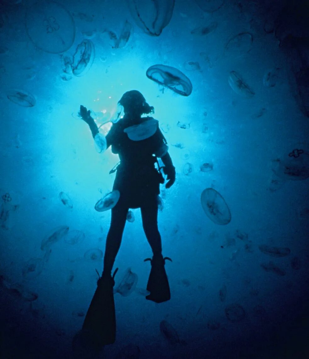 Фон под водой. Морские глубины. Underwater life. Underwater life. Глубина.