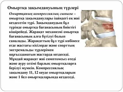 Біз бұзық әйелдерді жаттықтырамыз