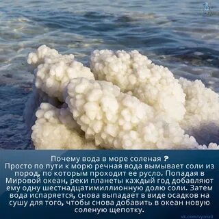 Почему реки не соленые