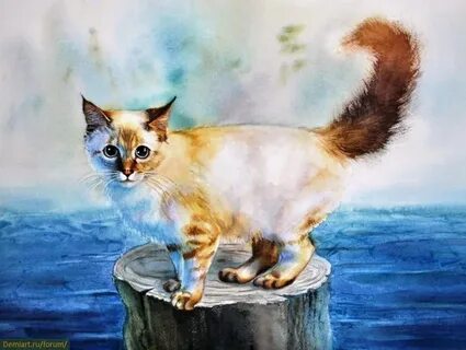 Cats paint