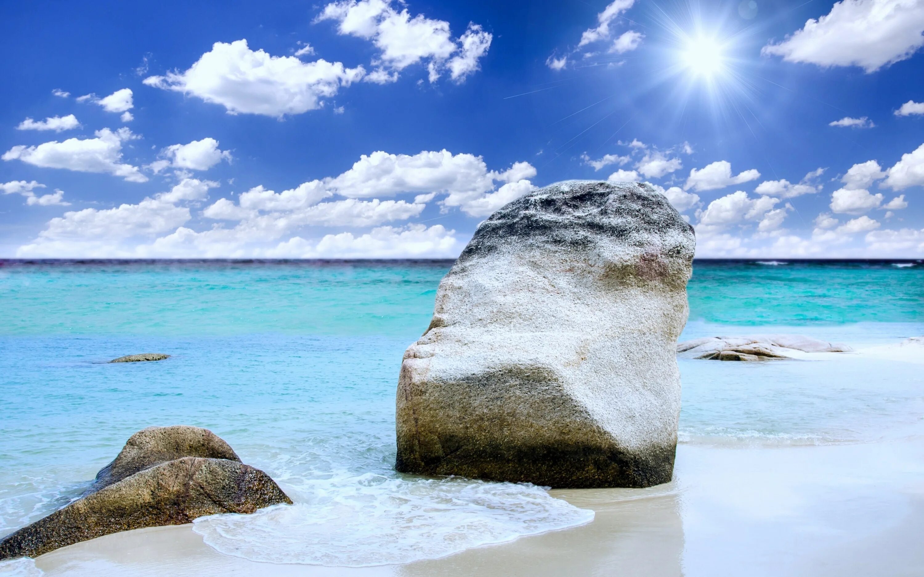 Beach full