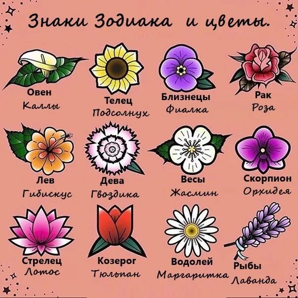 Выбери свой цветок. Какие цветы любишь ответы. Язык цветов. Цветок символ семьи. С чем ассоциируются цветы.