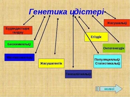 География нені зерттейді