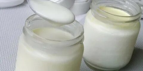 Молочно кислая закваска