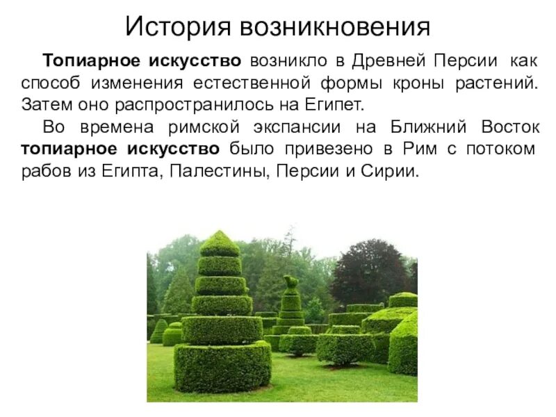 Сообщение о топиарном искусстве
