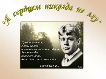 Стихотворение есенина никогда