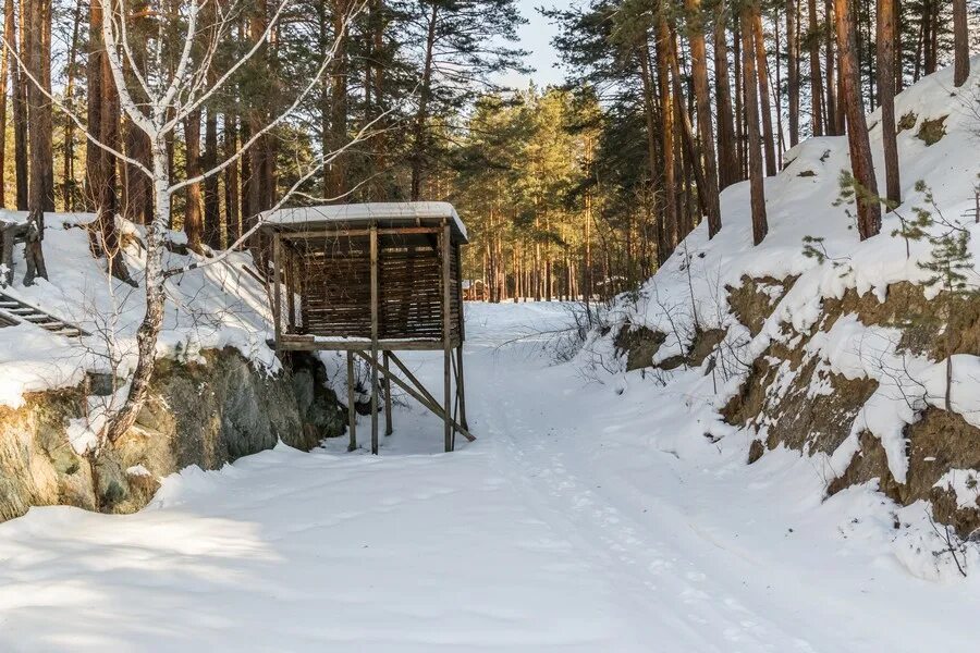 Тальков камень Сысерть. Парк Бажовские места Сысерть зимой. Тальков камень зимой. Бажовские места парк зима. Сысерть зимой