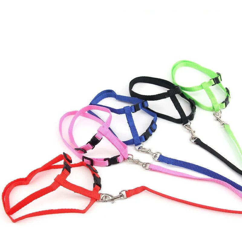 Beeztees шлейка. Как одевать ошейник. Мейн кун на шлейке. Нейлоновая шлейка-жилет для крупной собаки. Как одевать ошейник.