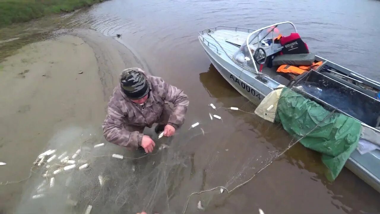 Охота и рыбалка на севере видео. Рыбалка сетями на севере. Бредень рыболовный. Рыбалка на севере 2020. Зимняя рыбалка на севере.