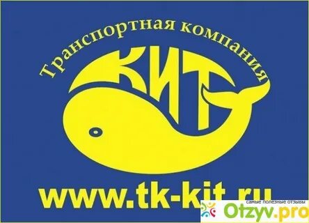 Кит транспортная