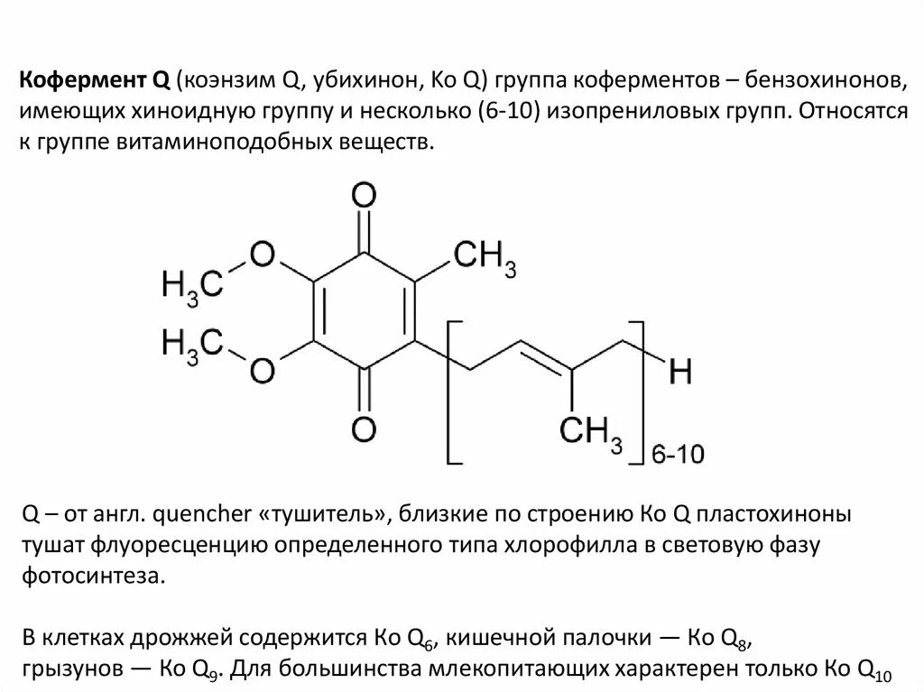 Коэнзим дозировка. Кофермент убихинона. Убихинон Синтез. Убихинон витамин. Убихиноны коферменты q.