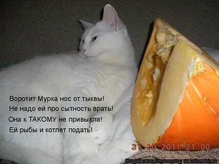 Воротит