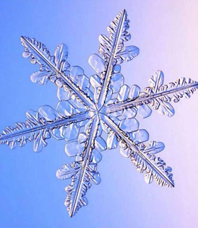 снежинка под увеличительным стеклом. кристаллы снежинок под микроскопом. кеннет либбрехт снежинки. самая красивая снежинка в мире. кристаллы снежинок.