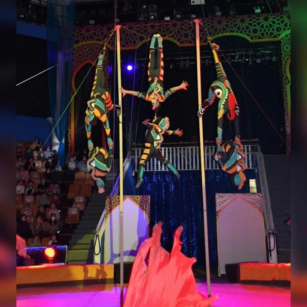 Цирковой мюзикл алиса. Дворец винер волшебная лампа. Цирковой мюзикл волшебная лампа крылья советов уск. Изумрудный город мюзикл крокус. Новогодний цирковой мюзикл «волшебная лампа».