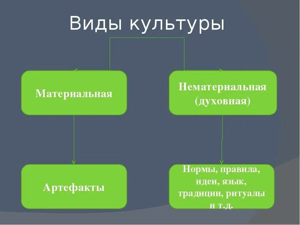 Культура общества окружающий мир 4 класс. Виды культуры. Виды духовнойклуьтуры. Культура виды культуры. Виды культуры Обществознание.