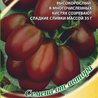 Томат монисто описание