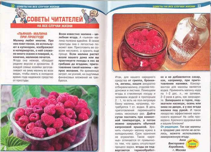 Настой из липы. Чай при ангине можно. Чай при ангине можно. Профилактика ангины у взрослых. Травы для полоскания при ангине.