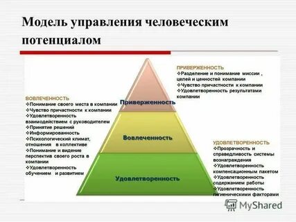 Приверженность традиционным ценностям и порядку