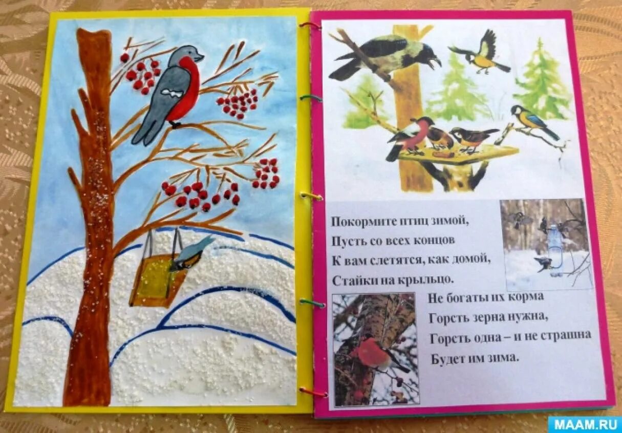 Книжка малышка по окружающему миру. Книжка малышка берегите животных. Как сделать книжку на окружающий. Книжка малышка берегите растения. Книжку малышку береги животных.