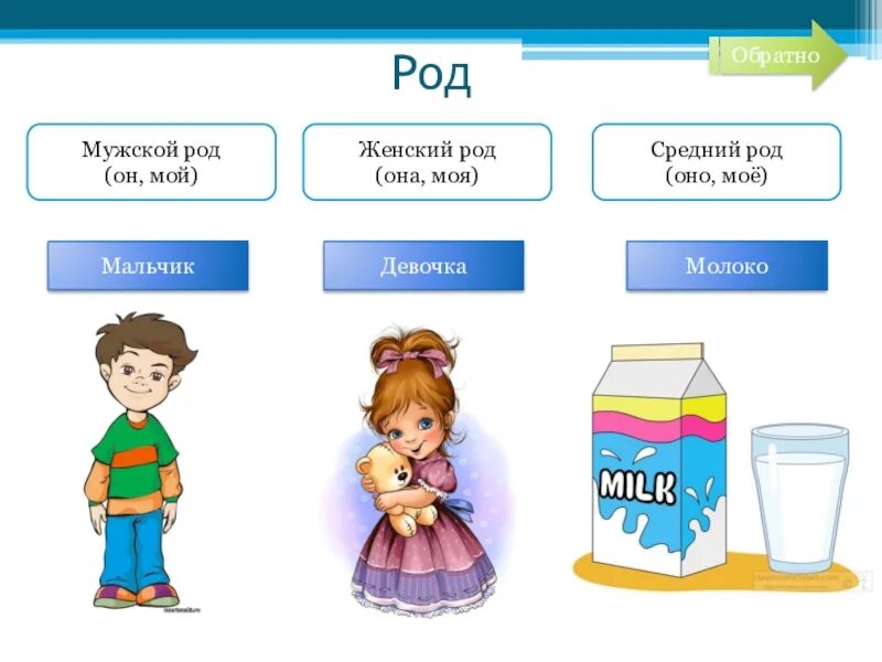 Женский род. Мужской женский средний род для дошкольников. Оно моё средний род слова. Существительное среднего рода для дошкольников.