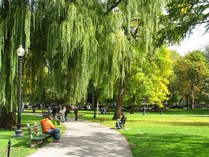 Public park