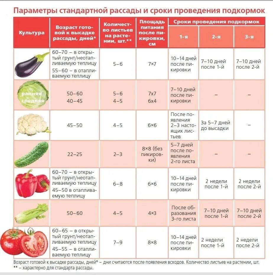 Дни посадки семян томатов в 2024 году. Календарь посадки рассады на 2023. Таблица высадки овощей на рассаду. График посадки овощей на рассаду. Таблица высадки семян на рассаду.