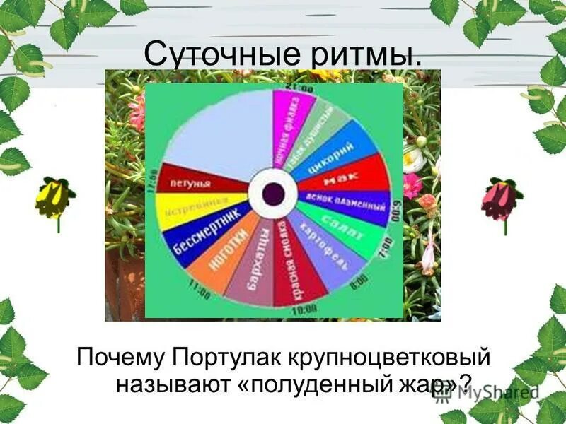 рост и развитие растений зависит от. зависимость роста растения от условий окружающей среды. зависимость растений от среды. зависимость роста и развития растений от условий окружающей. влияние биотических факторов на растения.