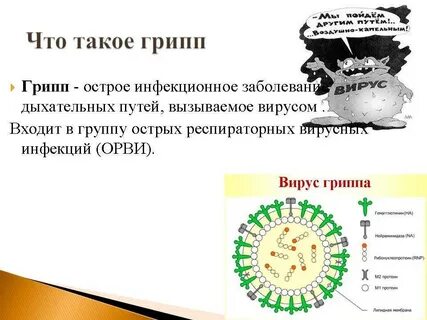 Грипп группа инфекций