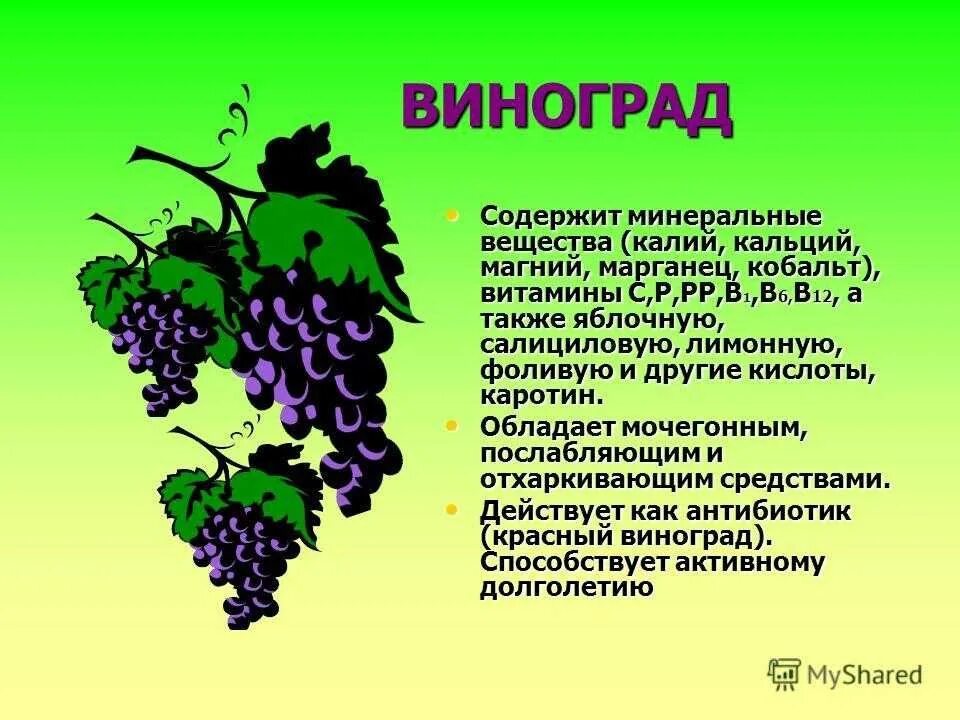 Сколько воды содержится в винограде. Витамины в винограде. Витамины содержащиеся в винограде. Виноград какие витамины содержит. Виноград полезное витамины.