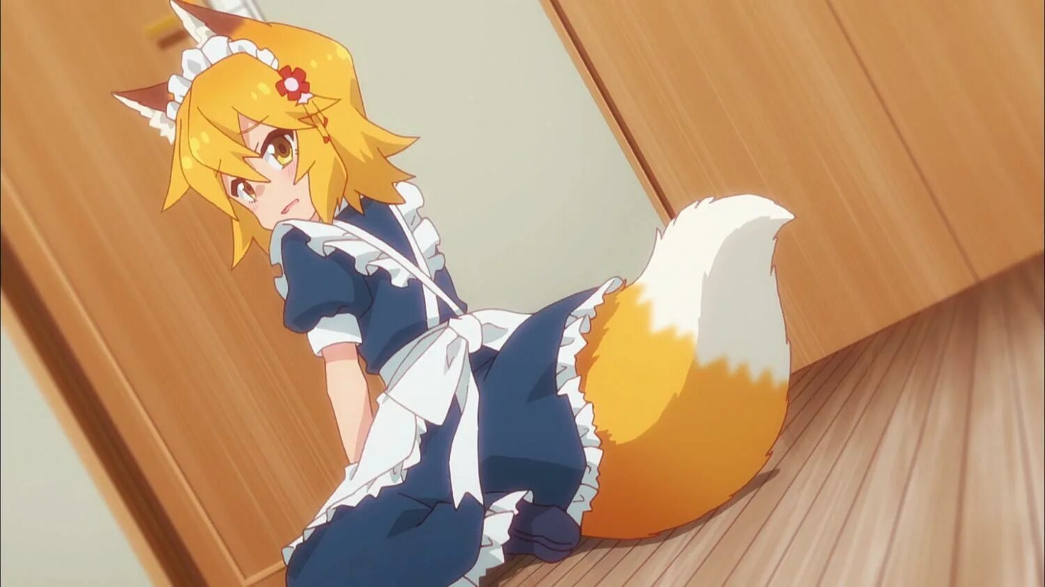 800 летняя жена сенко. 800 с хвостиком сэнко. 800 летняя жена сенко. заботливая 800 летняя жена сэнко. 800 летняя жена сэнко.