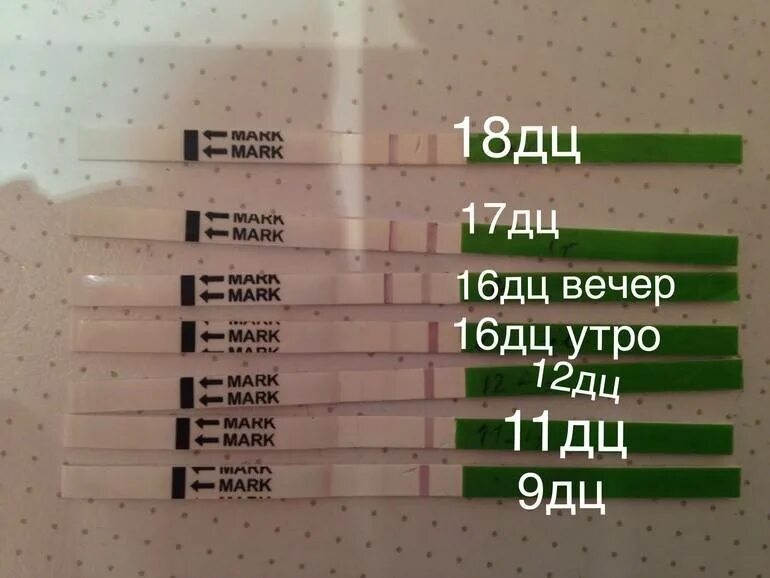 Тянет низ живота через неделю после месячных. После овуляции низ живота. тянет низ живота при овуляции. после овуляции болит низ живота. после овуляции подташнивает.
