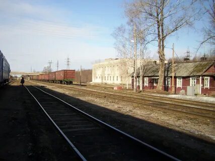 Гдов сланцы