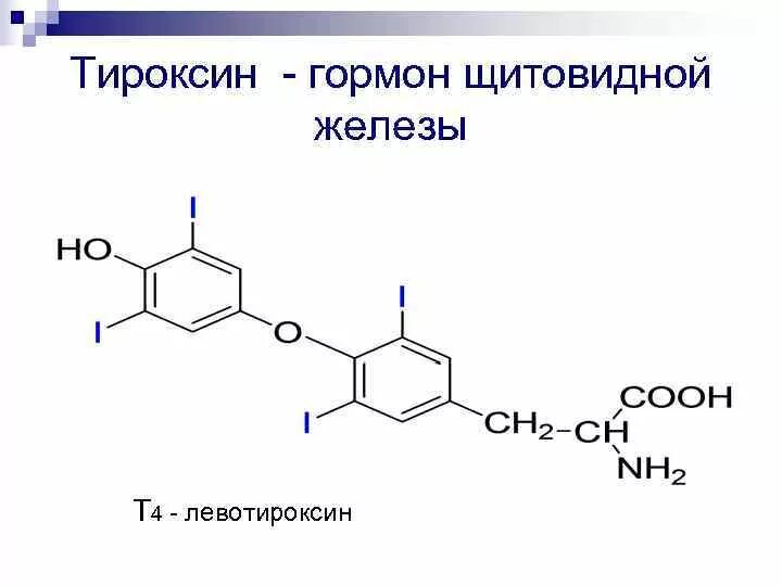 Гормон роста и гормоны щитовидной. Тироксин формула биохимия. Тироксин строение формула. Тироксин формула химическая. Тироксин химическая структура.