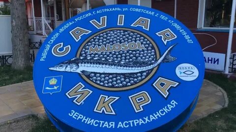 Рыбка адрес