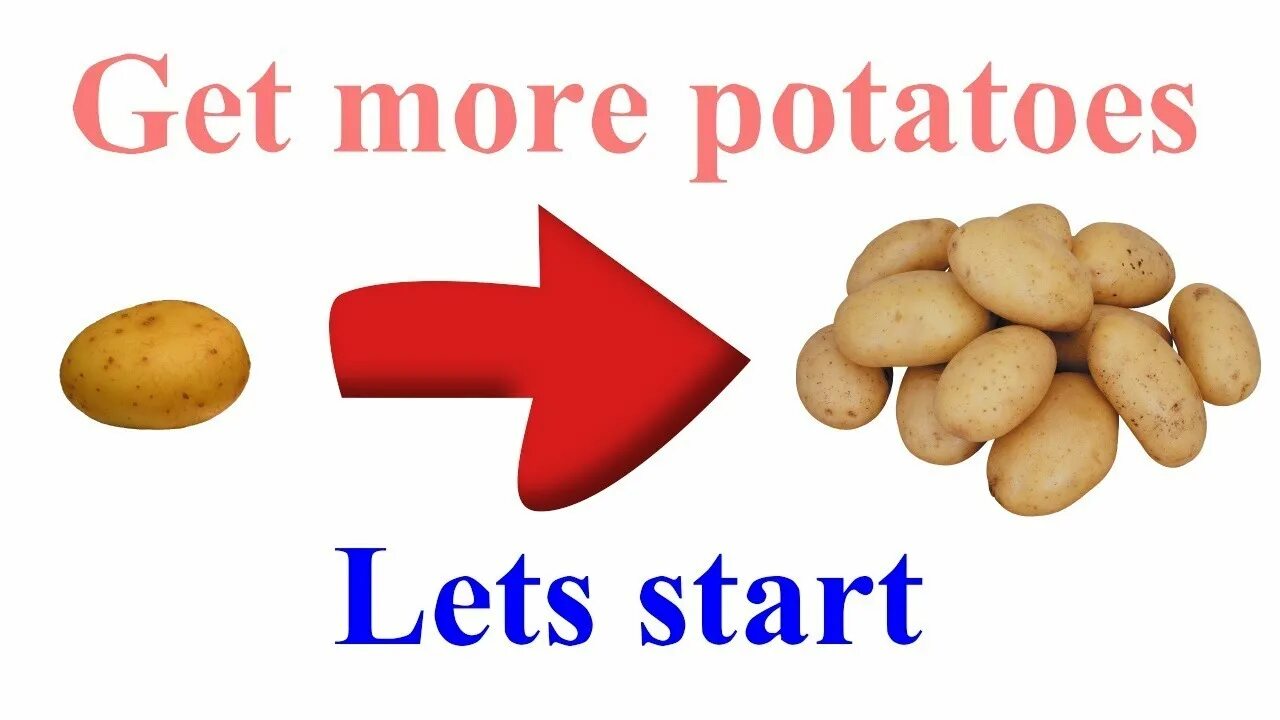 We like potatoes. Potato much или many. Many Potatoes или. How many how much Potatoes. How much Potatoes или how many Potatoes.
