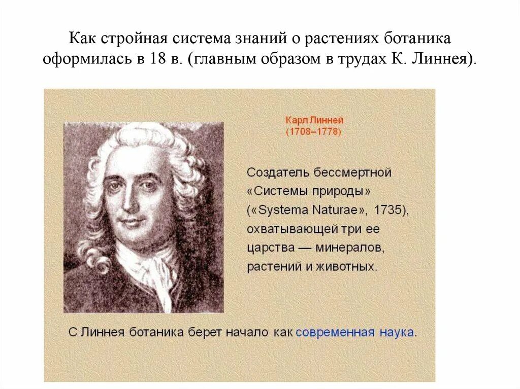 Линней 1735. Линней 1735. Линней портрет. Система природы 1735 линней. Линней 1735.