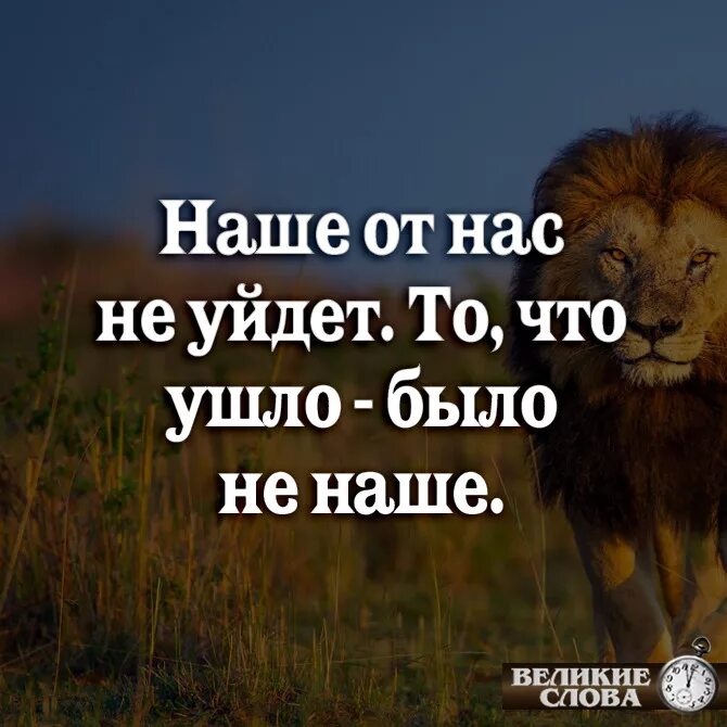 Твоё от тебя не уйдёт. Мое от меня не уйдет цитаты. Твое не куда не уйдет. Твое не куда не уйдет. Твоё от тебя не уйдёт а если ушло.