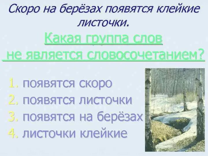 На березке появились. Разобрать предложение на Березке распустились Клейкие листочки. На белоствольной Березке появились Клейкие листочки. Березы распускают свои Клейкие листочки разбор предложения. Береза распускает свои Клейкие листочки.