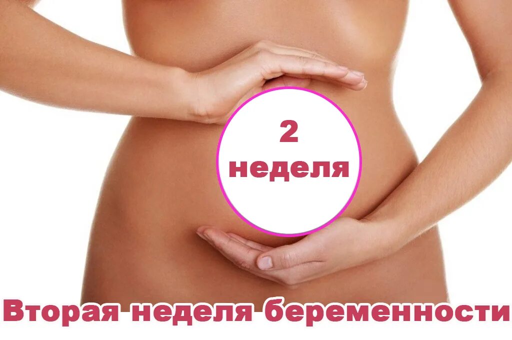 Быть не менее 2 недель. Симптомы беременности на 2 недели. Вторая неделя беременности. Симптомы беременности на 2 недели беременности.