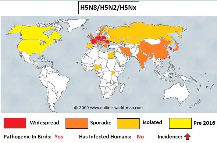 Птичий грипп карта. Карта распространение птичьего гриппа в мире. Распространение гриппа птиц. Карта распространения птичьего гриппа в России. Распространение птичьего гриппа