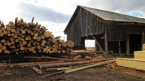 дисковая пилорама дпу 600. пилорама в нижнем. лесопильный завод вудвер. пилорама mg-650m. пилорама в нижнем.