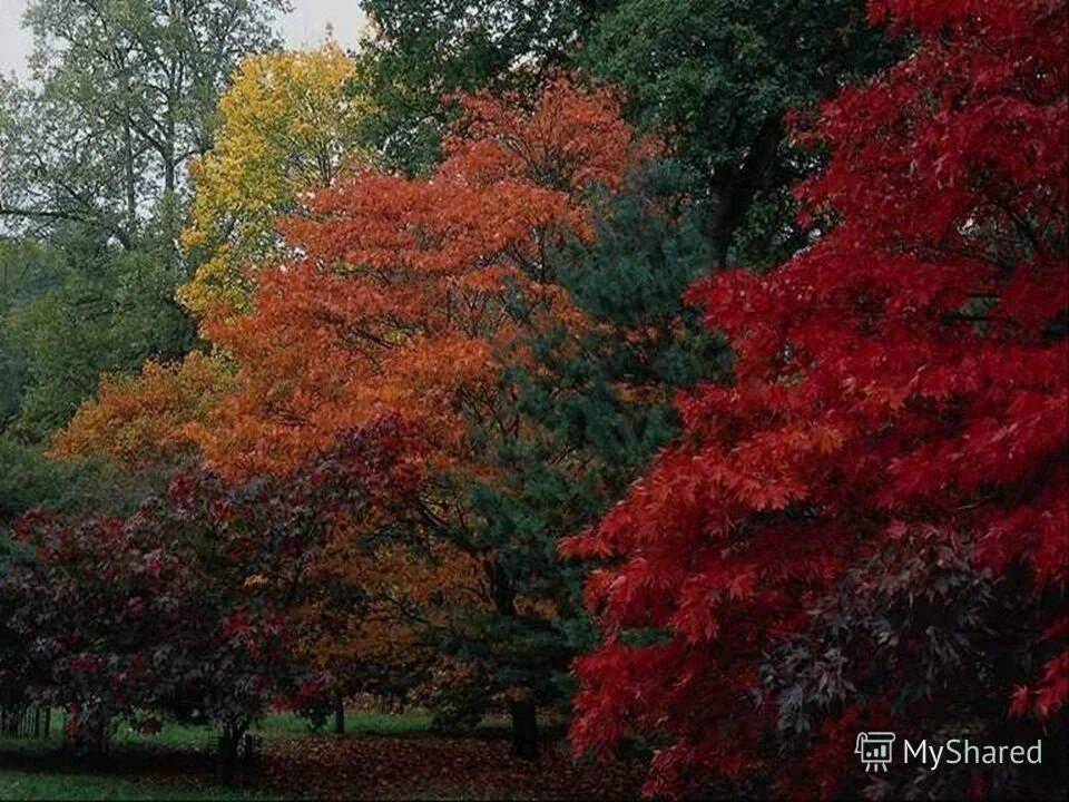 Im herbst. Осенняя фотосессия в саду. Im herbst. Im herbst. Im herbst.
