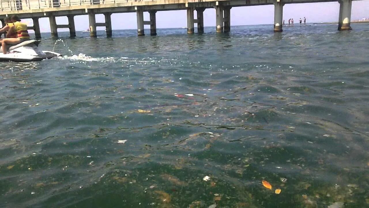 Сколько вода в море в сочи. Сочи Адлер грязное море. Пляж Мзымта в Адлере. Грязное черное море в Сочи. Адлер река Мзымта грязное море.